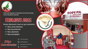 Lire la suite à propos de l’article SODEPA AU SALON PROMOTE 2022 : OBJECTIF VISIBILITE