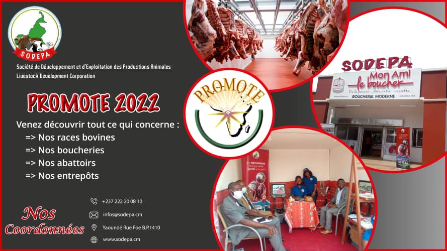 Lire la suite à propos de l’article SODEPA AU SALON PROMOTE 2022 : OBJECTIF VISIBILITE