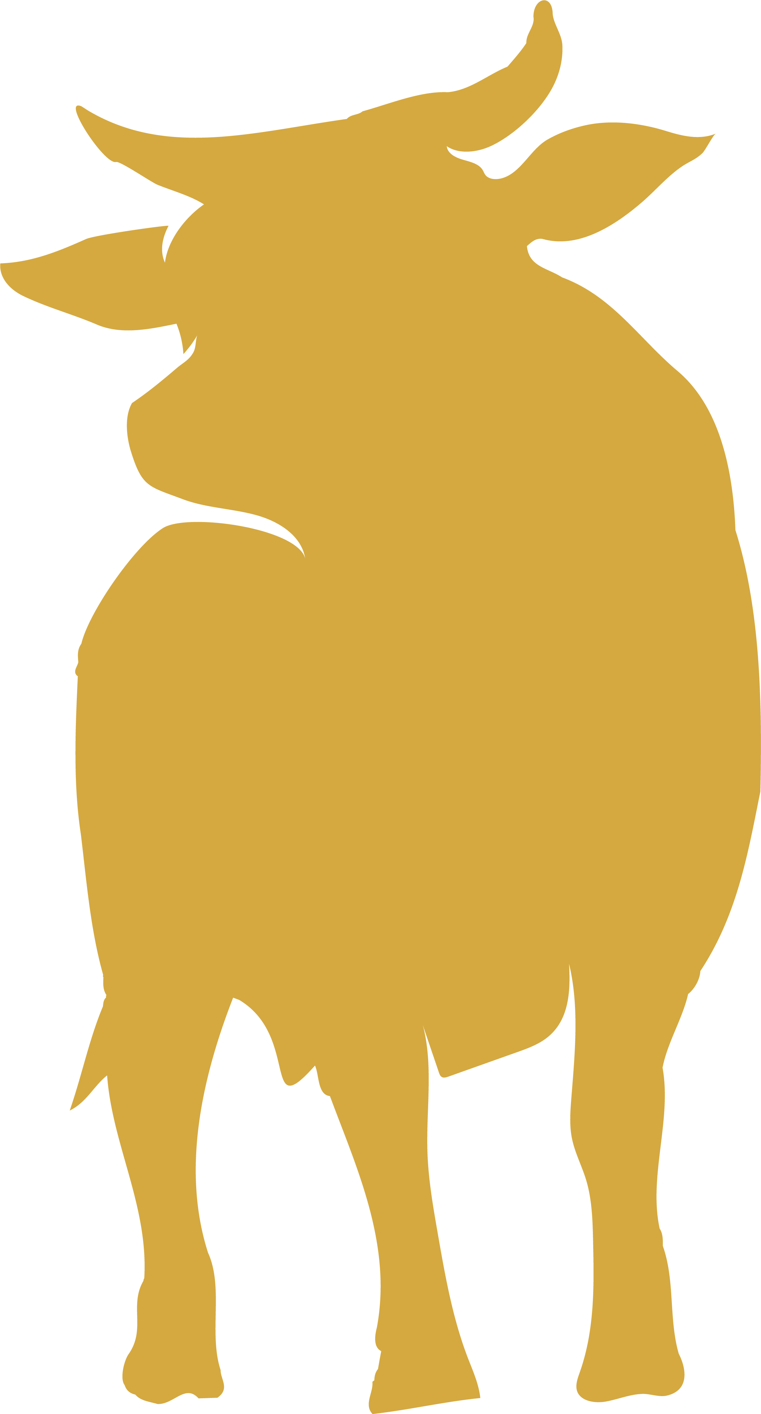 taureau 1